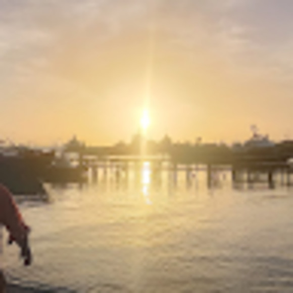 Meet your Posher, Julio césar - Picture 1 of 1